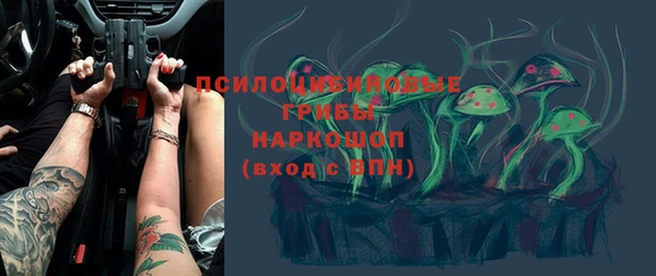 метамфетамин Ельня