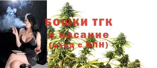 винт Дмитриев